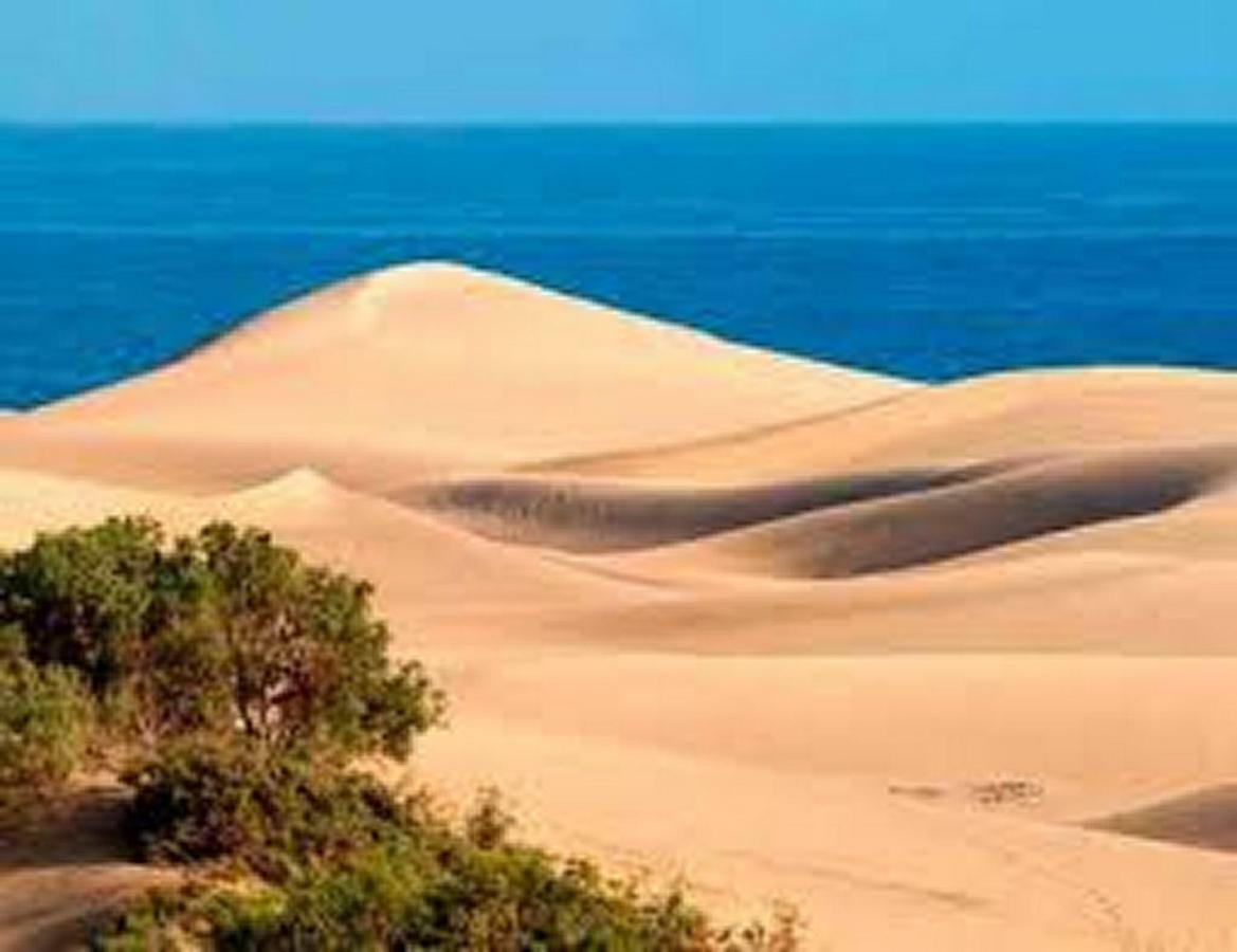 Bungalow Dunas&Sea Maspalomas Maspalomas  Eksteriør bilde